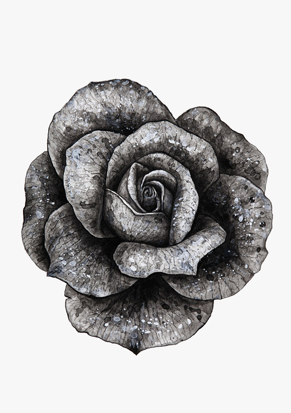 黒い贈り物、花束